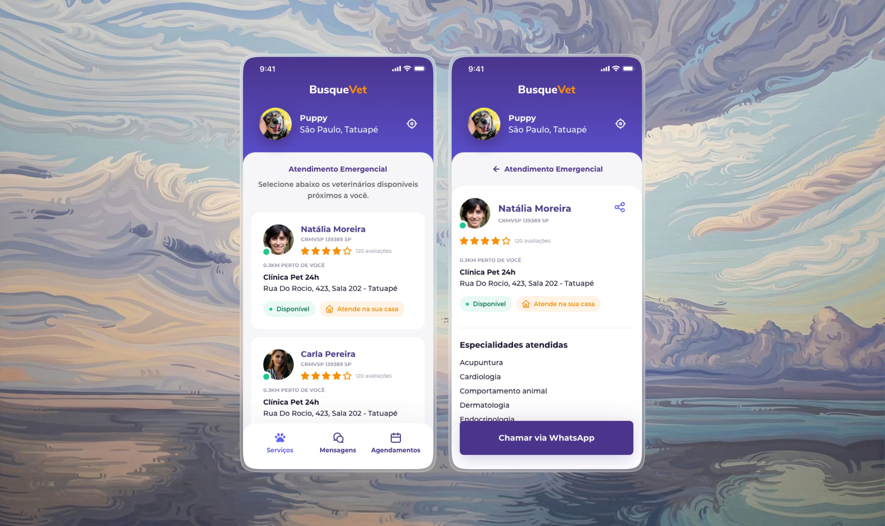 Two BusqueVet app screens: the list of nearby vets and a vet profile, over a swirling sky painting