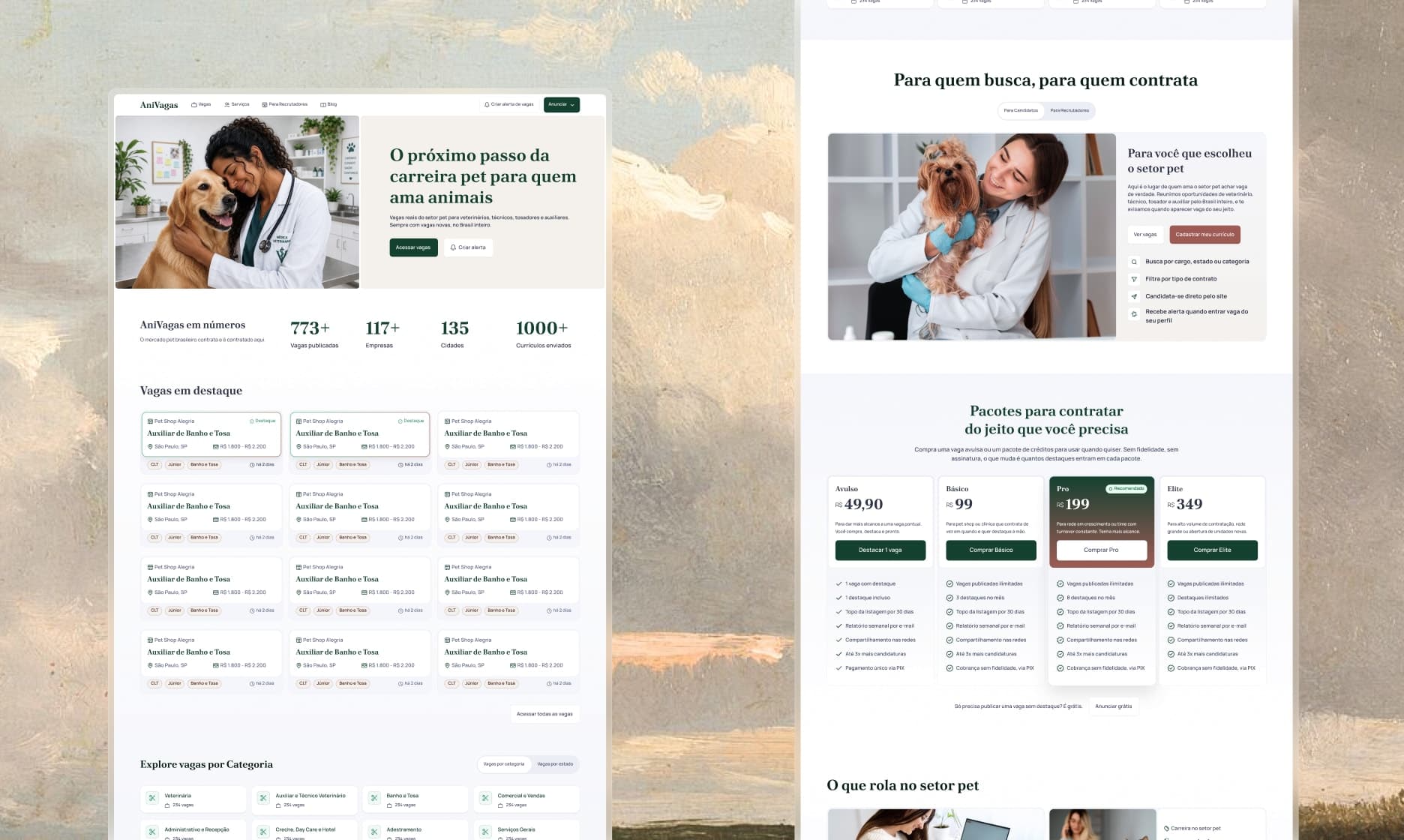 The full home page next to the recruiters' area, with the job packages and their prices
